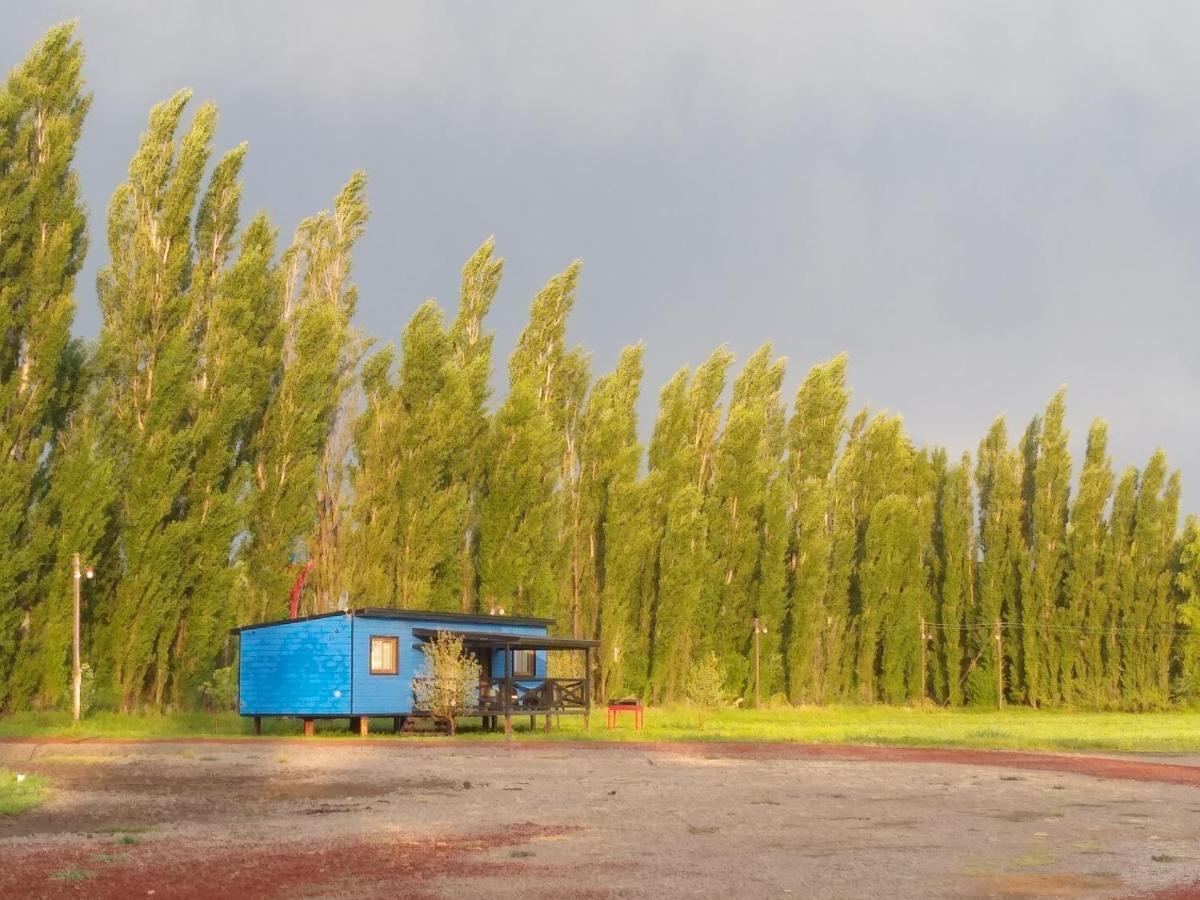 Chacra Arana De Campo *