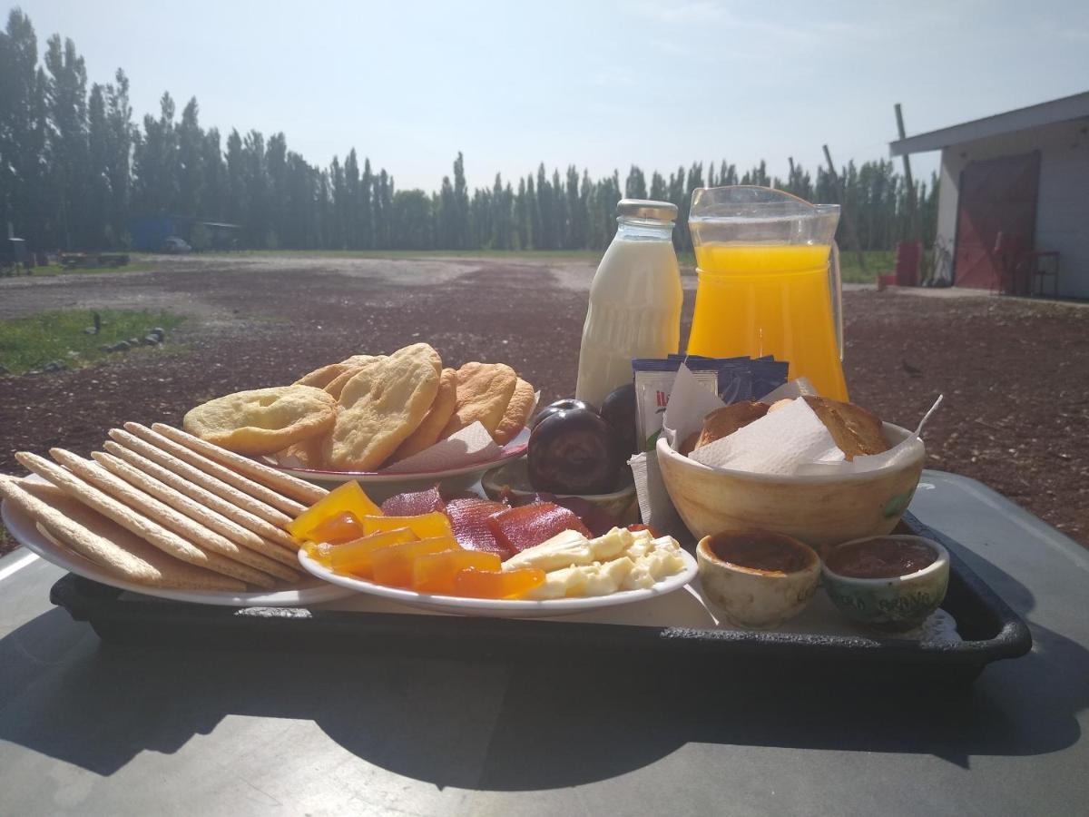 Chacra Arana De Campo * Villa Regina